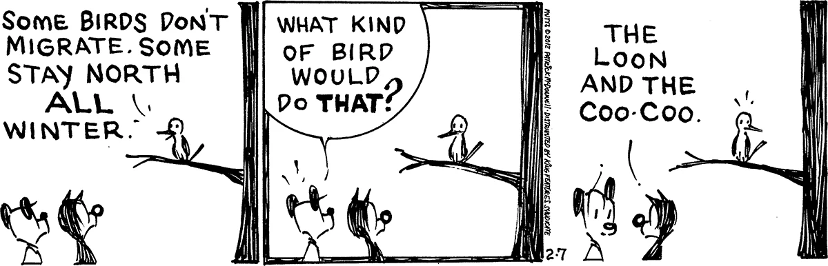 February 7 2012, Daily Comic Strip