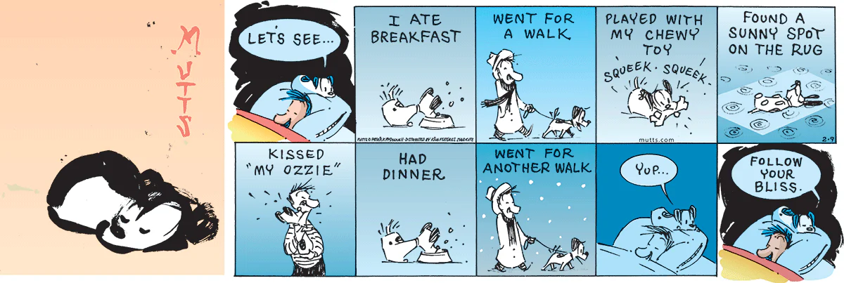 February 9 2025, Sunday Comic Strip
