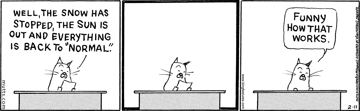 February 11 2023, Daily Comic Strip