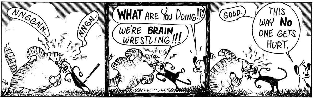 February 14 1998, Daily Comic Strip