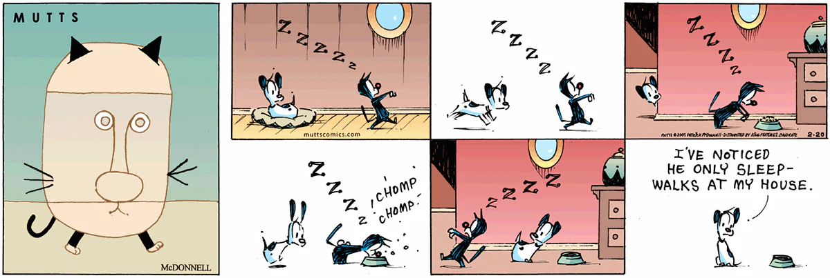 February 20 2005, Sunday Comic Strip