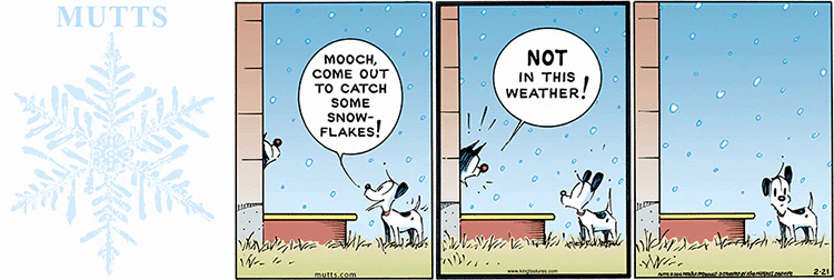 February 21 2016, Sunday Comic Strip