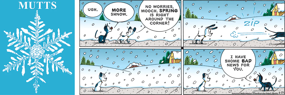 February 21 2021, Sunday Comic Strip