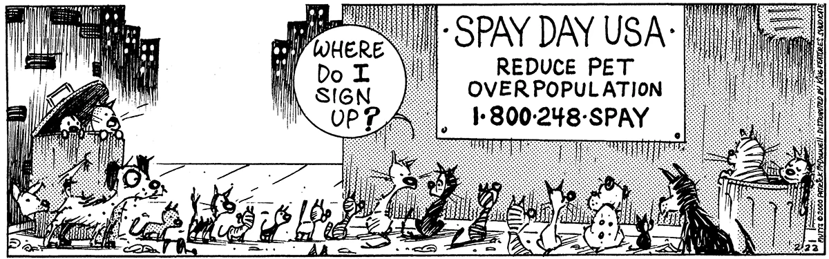 February 22 2000, Daily Comic Strip