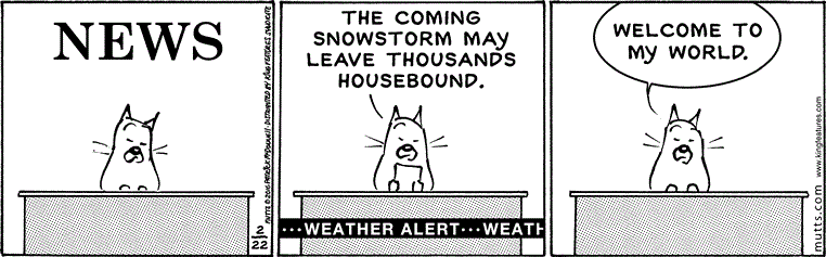 February 22 2016, Daily Comic Strip