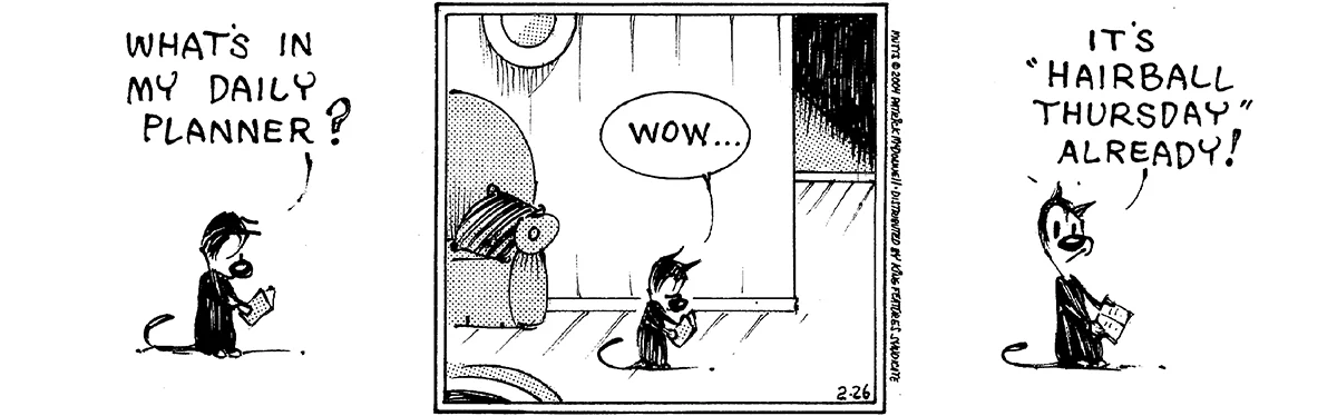 February 26 2004, Daily Comic Strip