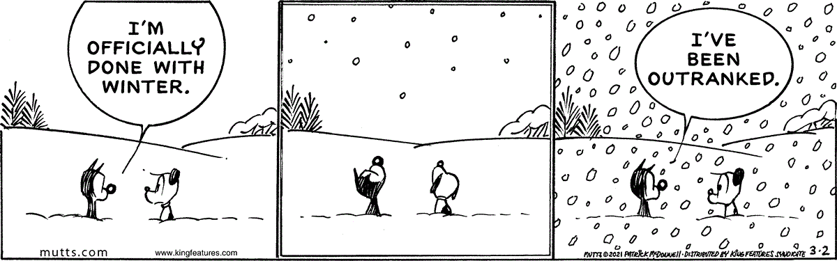 March 2 2021, Daily Comic Strip