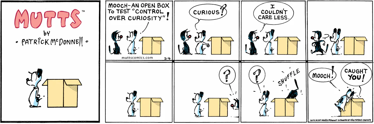 March 4 2007, Sunday Comic Strip