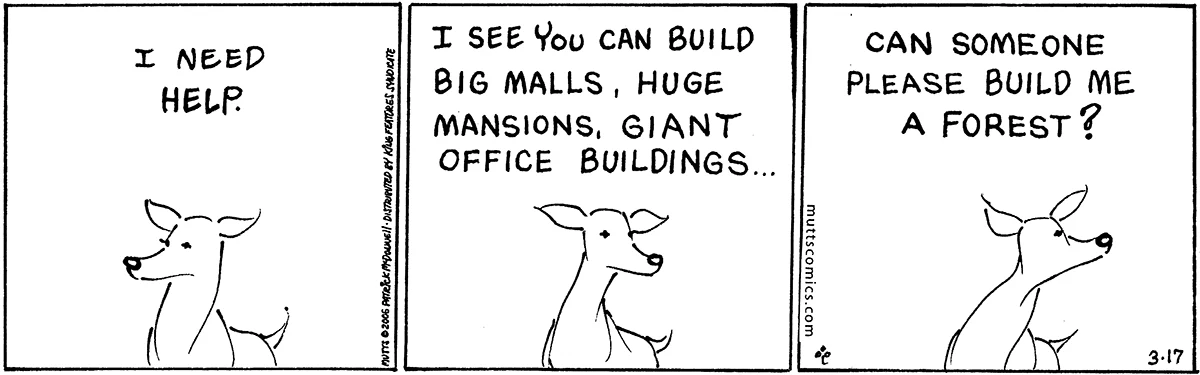 March 17 2006, Daily Comic Strip