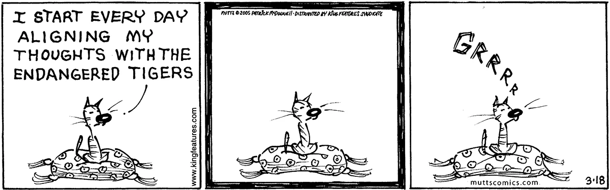 March 18 2005, Daily Comic Strip