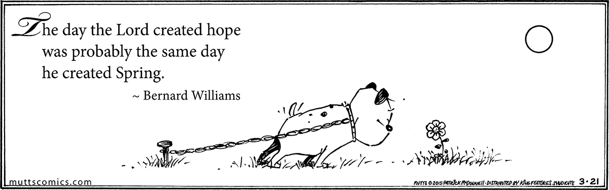 March 21 2015, Daily Comic Strip