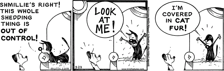 March 23 2016, Daily Comic Strip