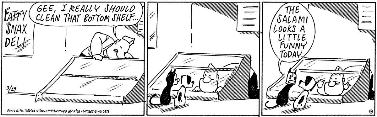 March 29 1996, Daily Comic Strip