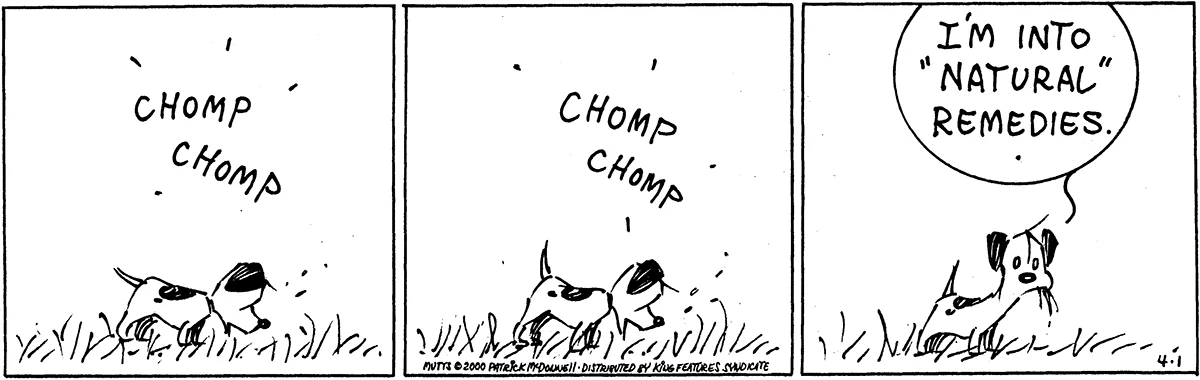 April 1 2000, Daily Comic Strip