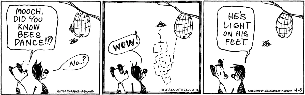 April 8 2003, Daily Comic Strip