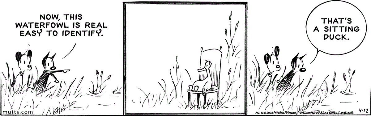 April 12 2022, Daily Comic Strip