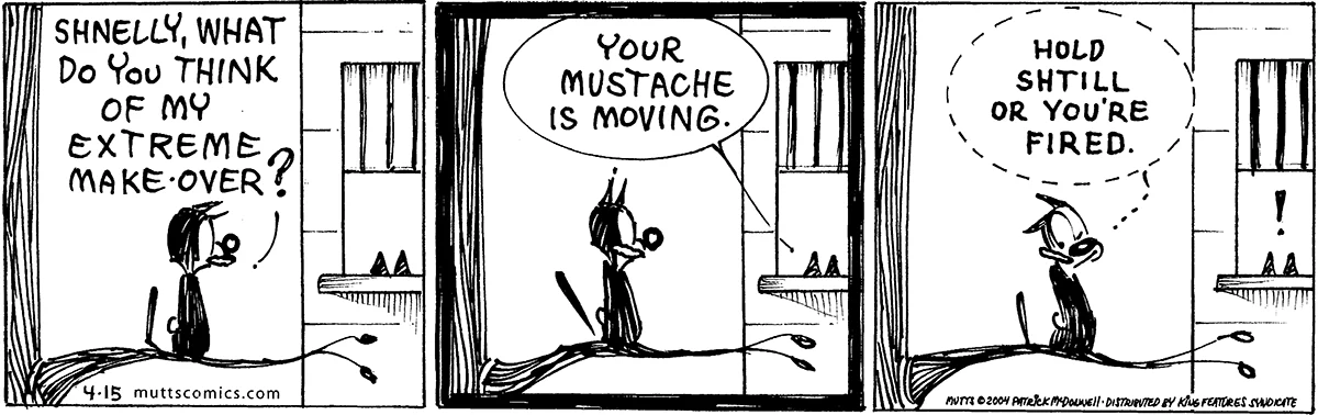 April 15 2004, Daily Comic Strip