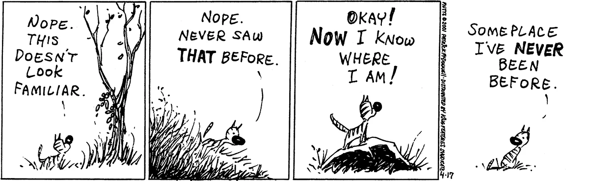 April 17 2001, Daily Comic Strip
