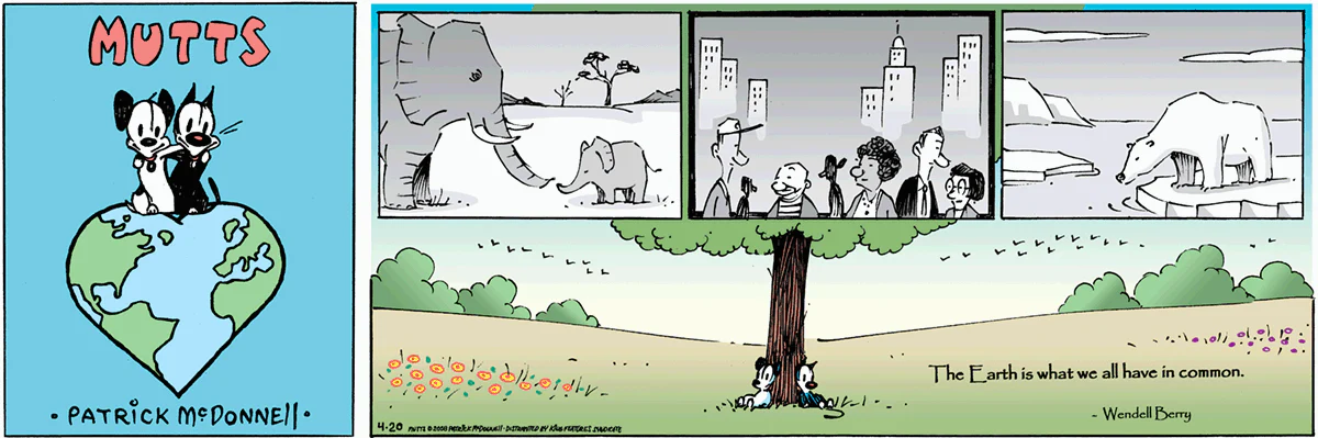 April 20 2008, Sunday Comic Strip