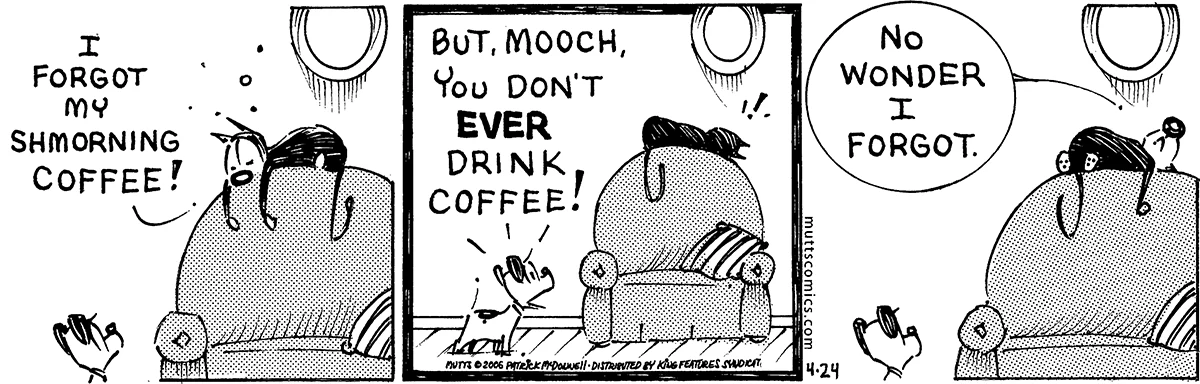 April 24 2006, Daily Comic Strip