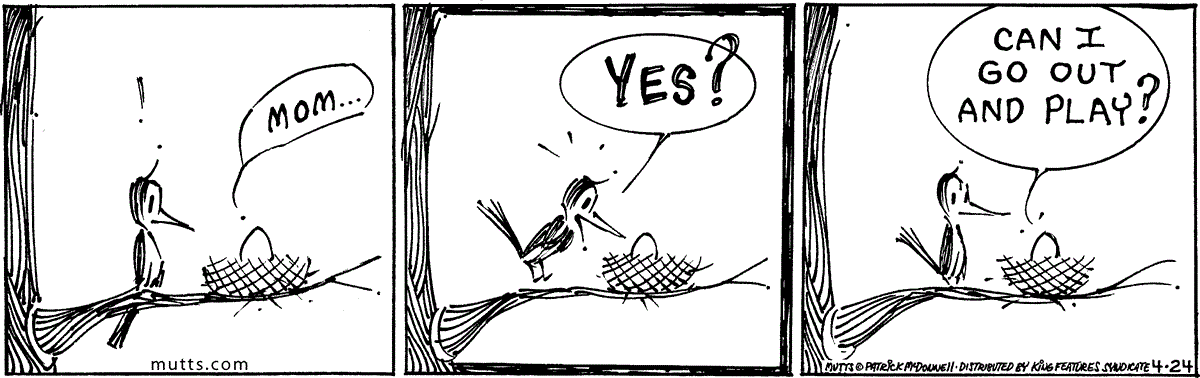 April 24 2025, Daily Comic Strip