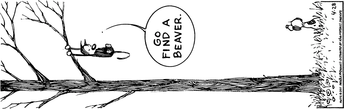 April 28 2011, Daily Comic Strip