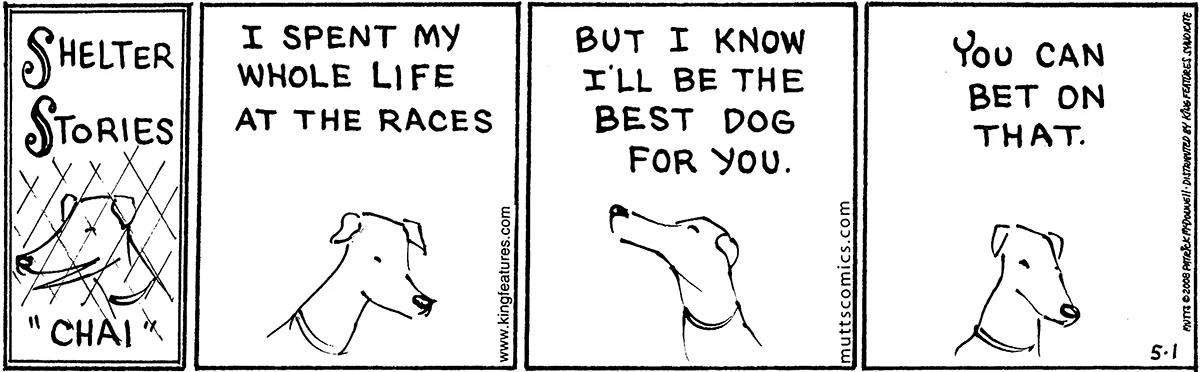May 1 2008, Daily Comic Strip
