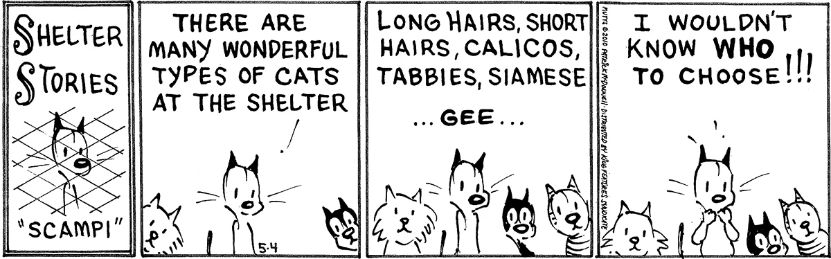 May 4 2010, Daily Comic Strip