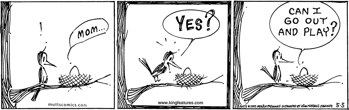May 5 2005, Daily Comic Strip