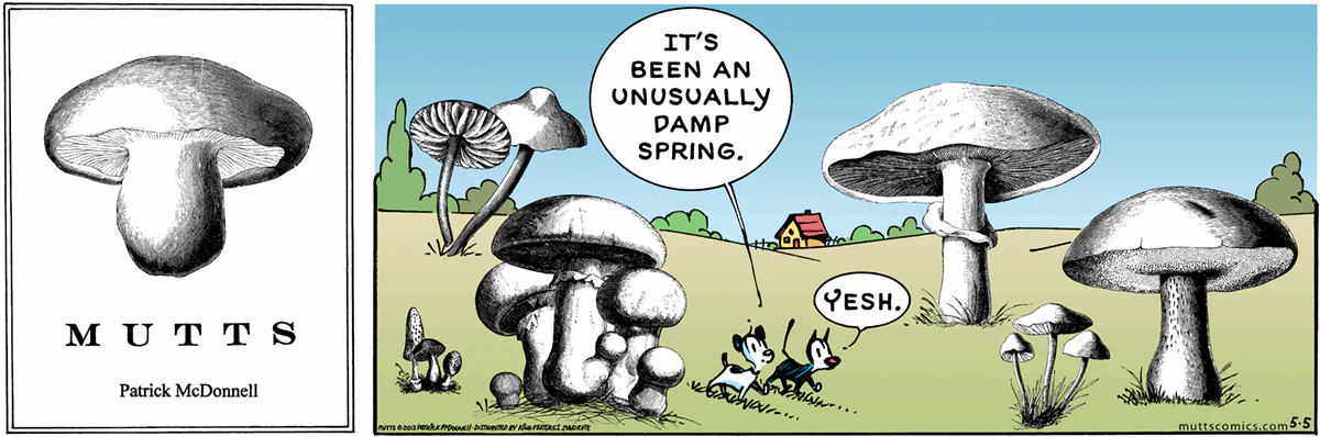 May 5 2013, Sunday Comic Strip