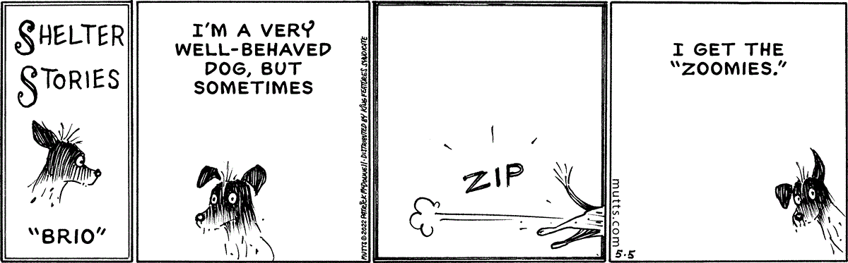 May 5 2022, Daily Comic Strip