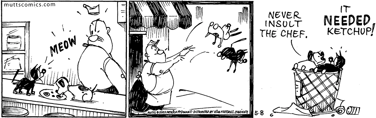 May 8 2003, Daily Comic Strip