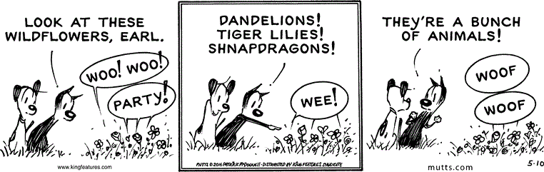 May 10 2016, Daily Comic Strip