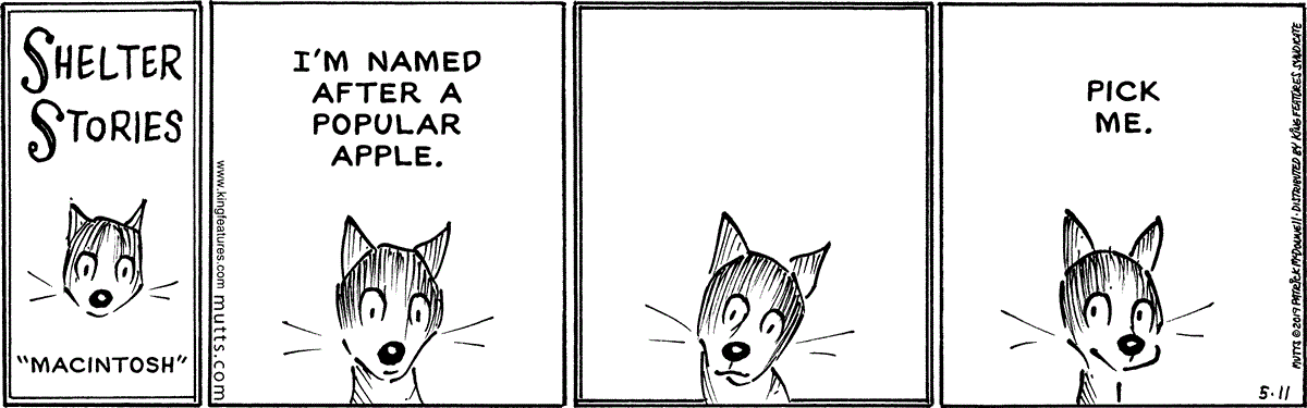 May 11 2019, Daily Comic Strip