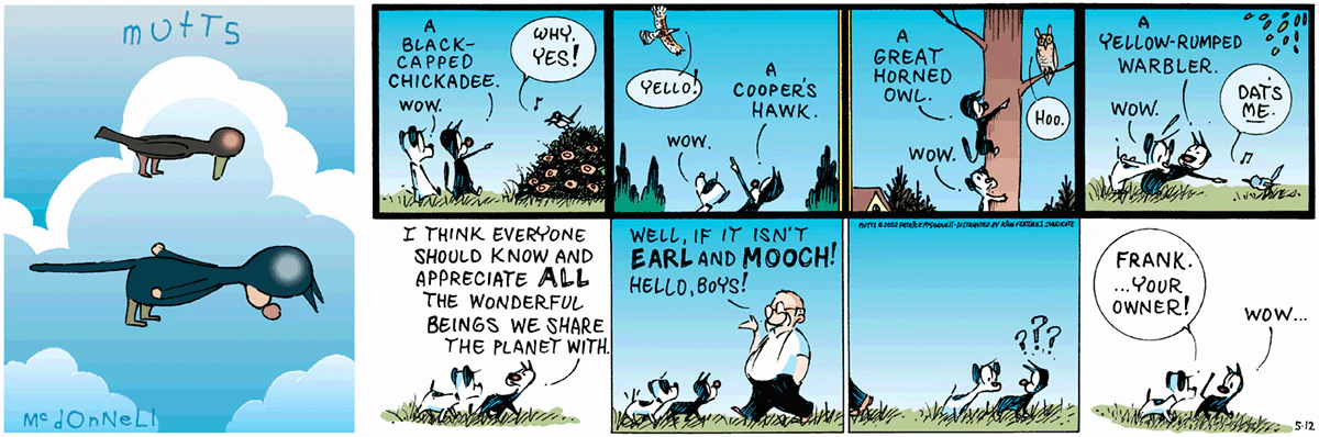 May 12 2002, Sunday Comic Strip