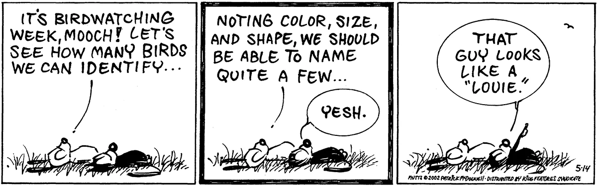 May 14 2002, Daily Comic Strip