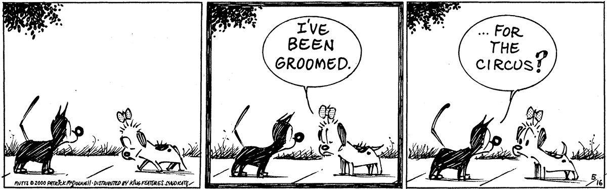 May 16 2000, Daily Comic Strip