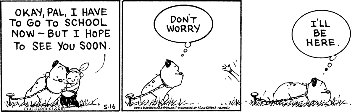May 16 2008, Daily Comic Strip