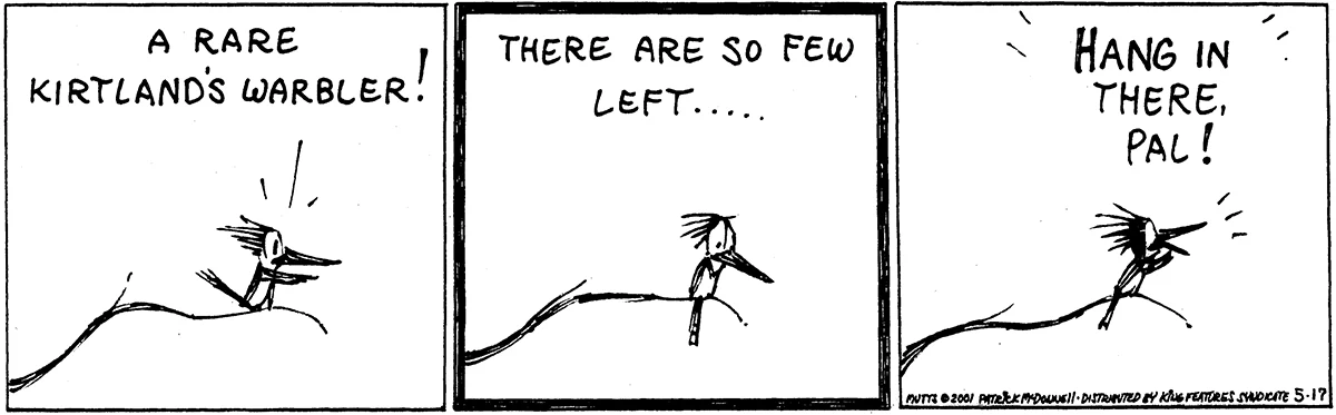 May 17 2001, Daily Comic Strip