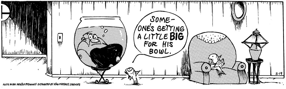 May 19 1999, Daily Comic Strip