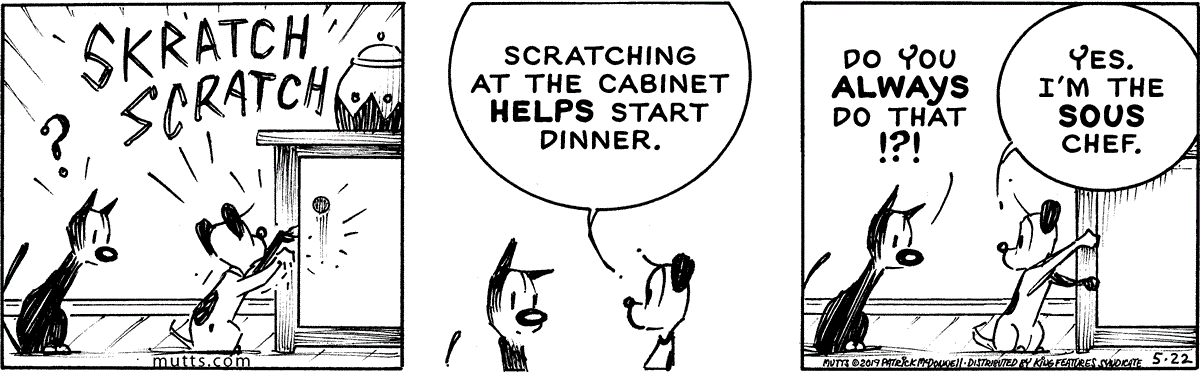May 22 2019, Daily Comic Strip
