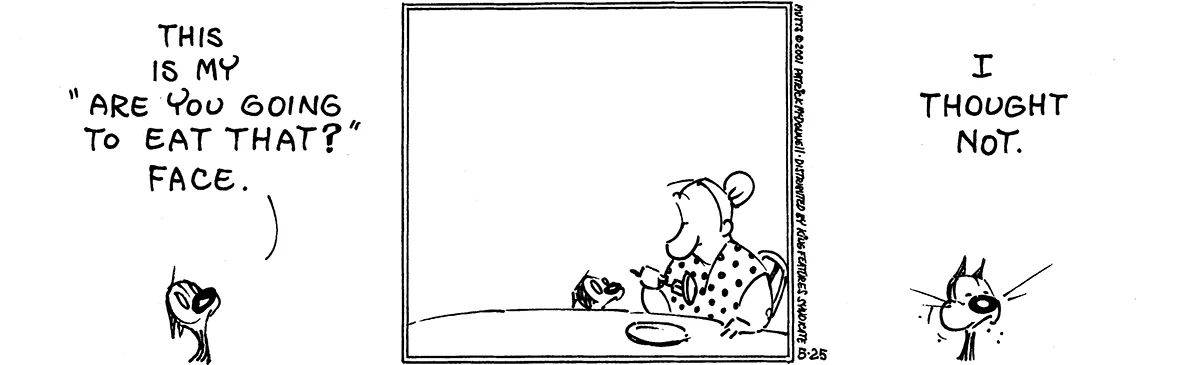 May 25 2001, Daily Comic Strip
