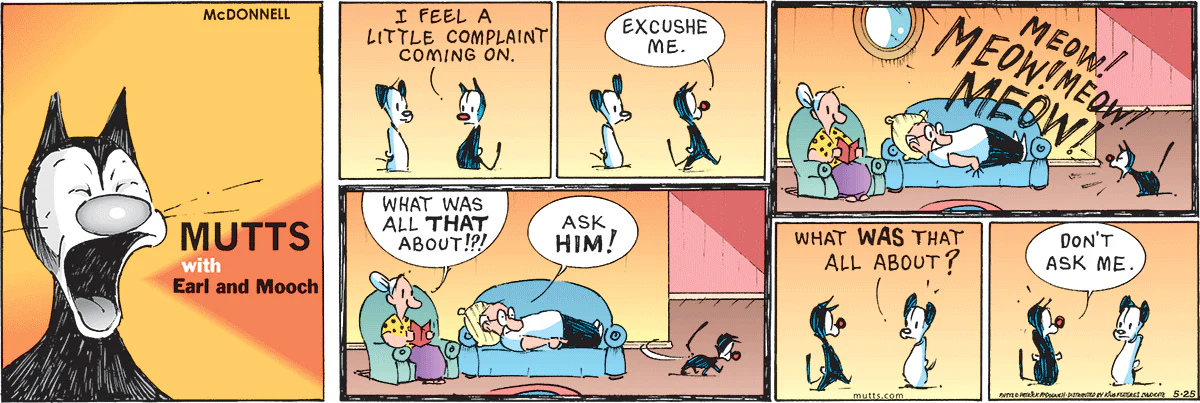 May 25 2025, Sunday Comic Strip