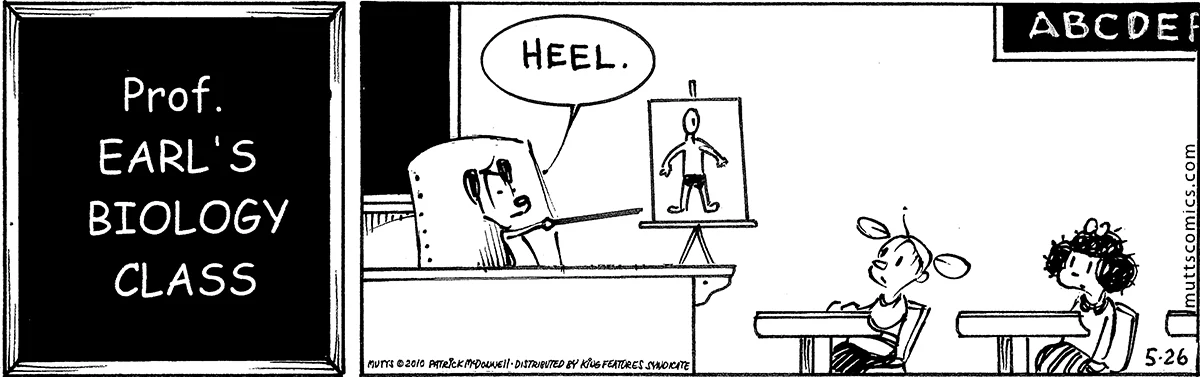 May 26 2010, Daily Comic Strip