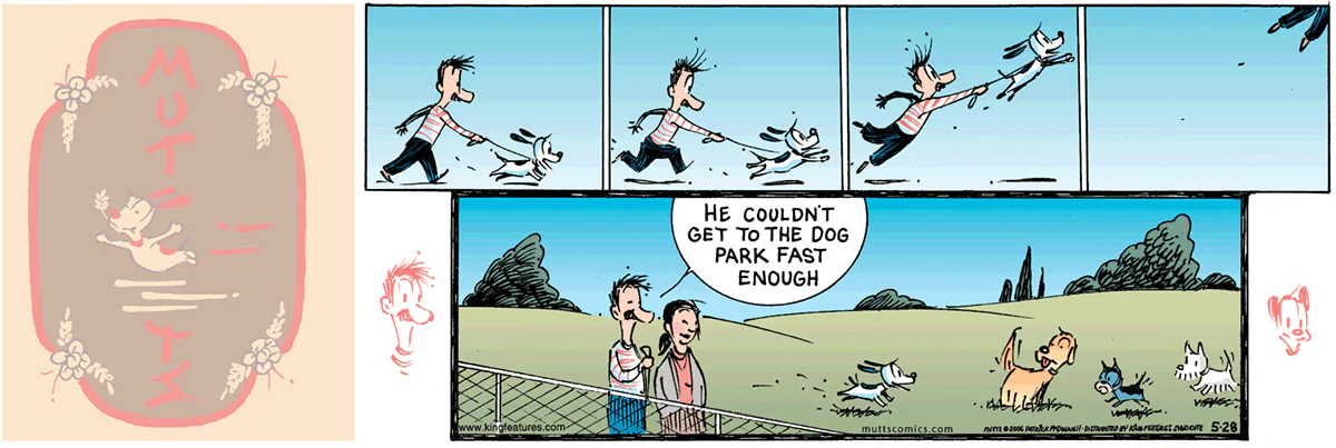 May 28 2006, Sunday Comic Strip