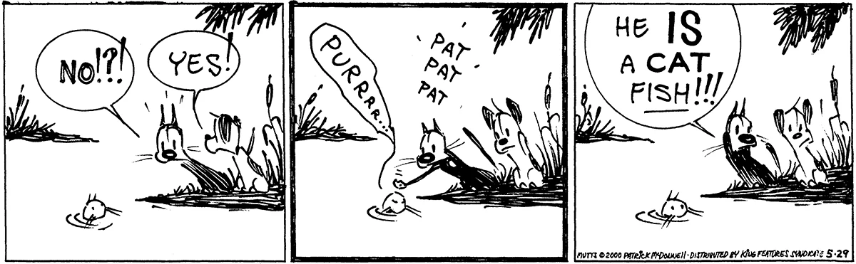 May 29 2000, Daily Comic Strip