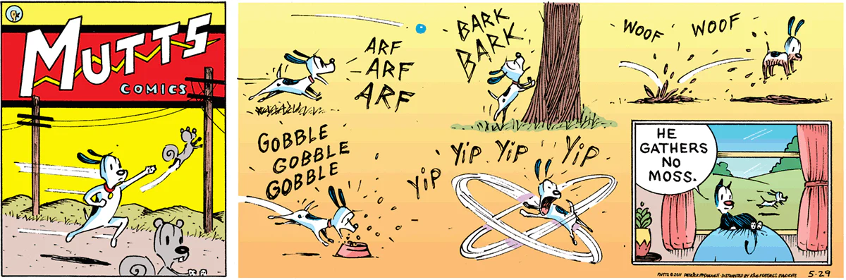 May 29 2011, Sunday Comic Strip