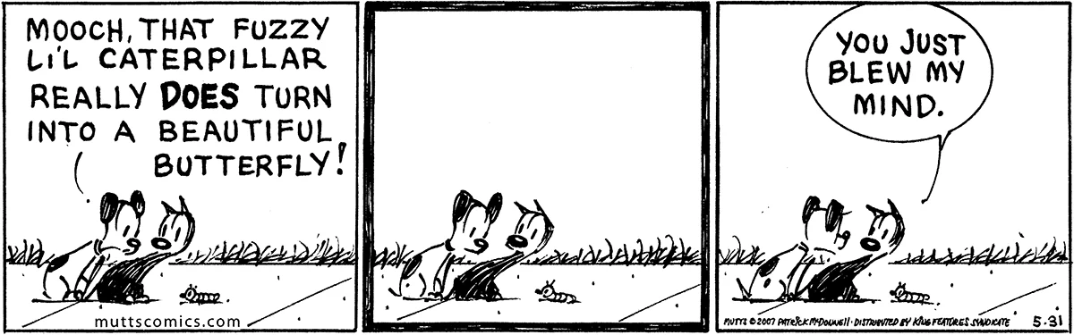 May 31 2007, Daily Comic Strip