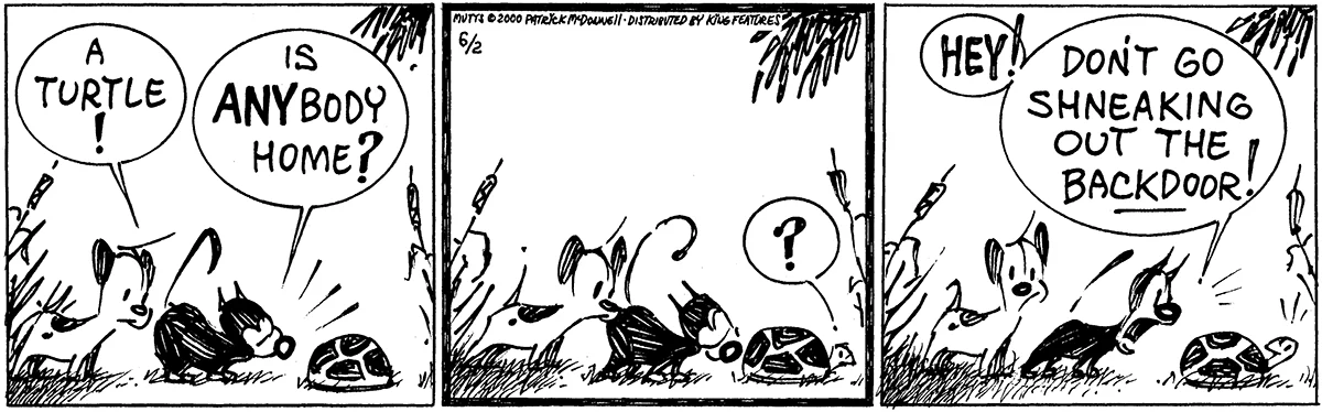 June 2 2000, Daily Comic Strip