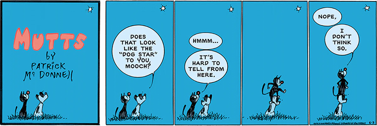 June 3 2018, Sunday Comic Strip